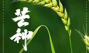 97国际-至尊品牌,源于诺言